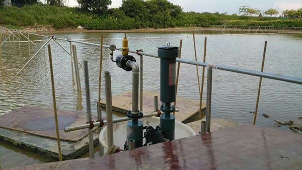 沉水式罗茨鼓午夜福利电影在线观看