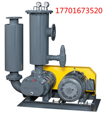 三叶罗茨午夜福利电影在线观看