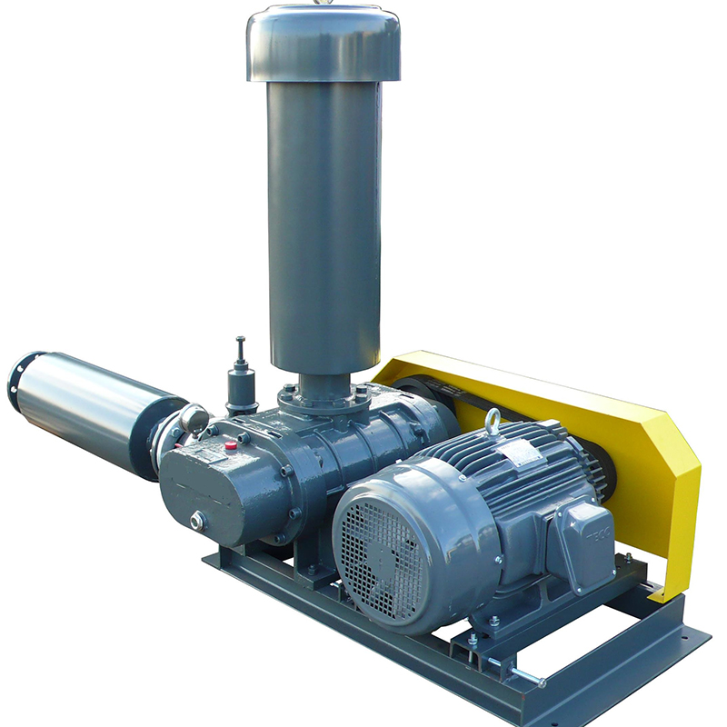 罗茨鼓午夜福利电影在线观看 36