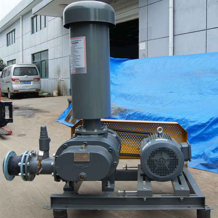 罗茨鼓午夜福利电影在线观看 750乘750 图2