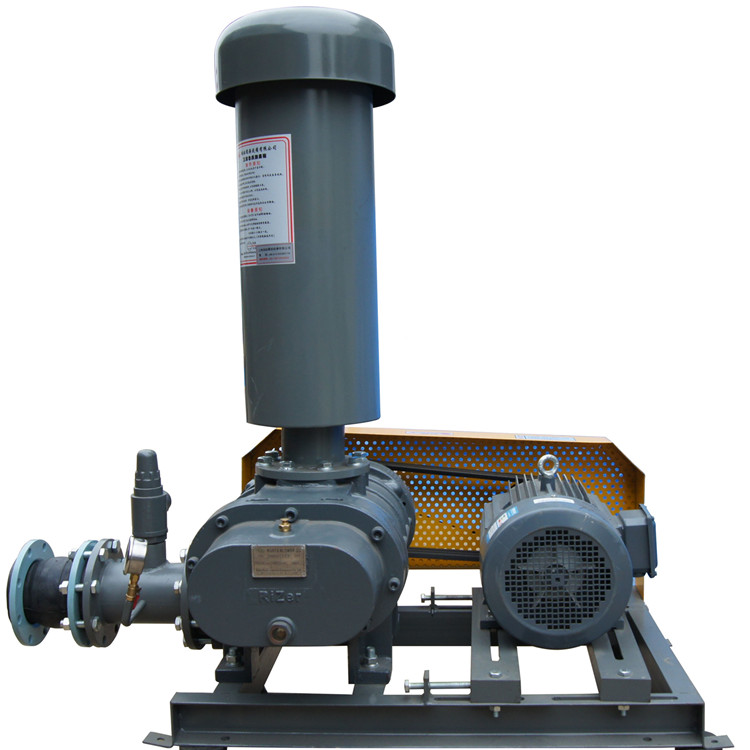 罗茨鼓午夜福利电影在线观看 750乘750 图8