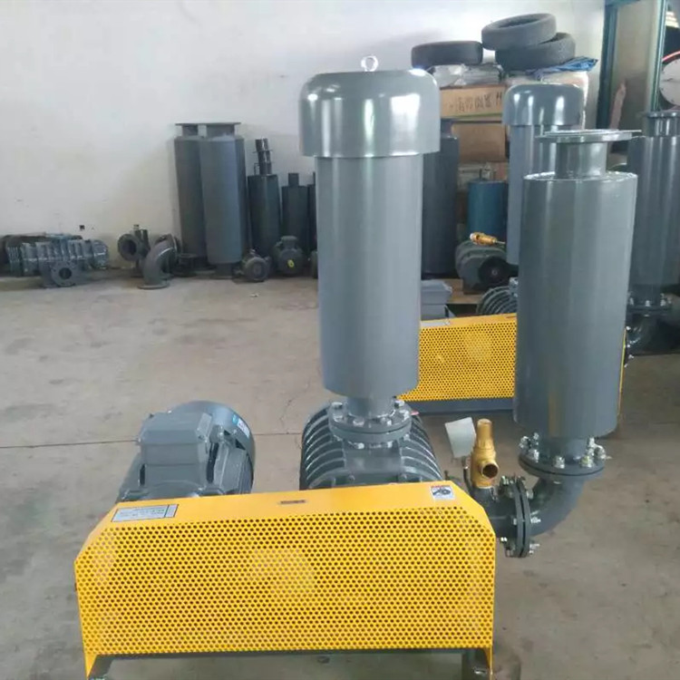 罗茨鼓午夜福利电影在线观看