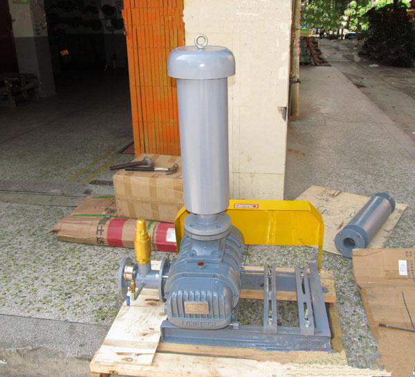 罗茨午夜福利电影在线观看午夜福利电影在线观看运行前与运行中的注意事项