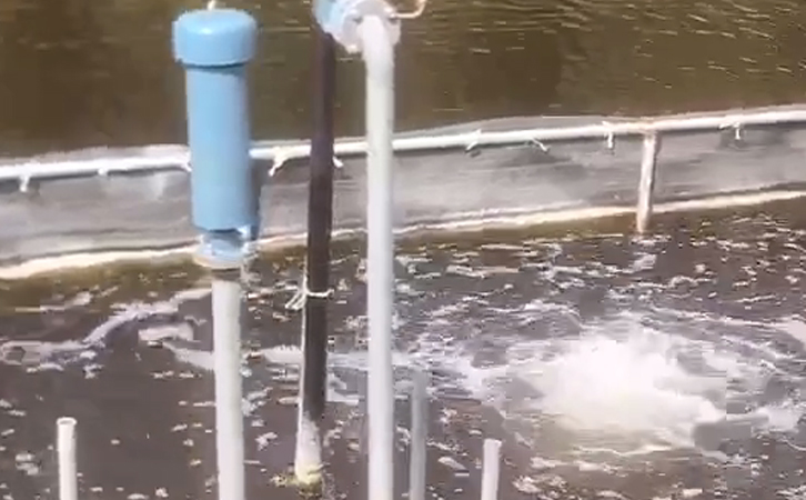 沉水鼓午夜福利电影在线观看进气口 – 你所不知道的事情