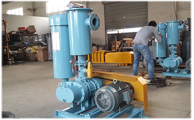 罗茨鼓午夜福利电影在线观看