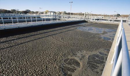 午夜视频免费在线曝气