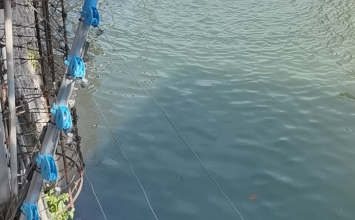 含硫化物废水对沉水午夜福利电影在线观看电机绝缘性能有何影响